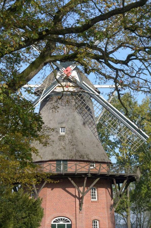 Ferienhaus Kleine Oase فارل المظهر الخارجي الصورة